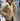Adidas Originals Oversized Faux Suede Sherpa Jacket - Streetwear Hoo - product image 11