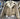Adidas Originals Oversized Faux Suede Sherpa Jacket - Streetwear Hoo - product image 10