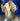 Adidas Originals Oversized Faux Suede Sherpa Jacket - Streetwear Hoo - product image 13