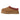 UGG Tazz beige platform edition, ideal for pairing with oversized hoodies and biker shorts for a trendy athletic leisure outfit.