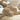 Women's Ugg Tazz Slipper Chestnut (Women'S) - Premium Everyday Sneak - product image 5