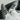 Adidas Samba Flower Lace (Special Edition) - Classic Lifestyle Shoes - product image 9
